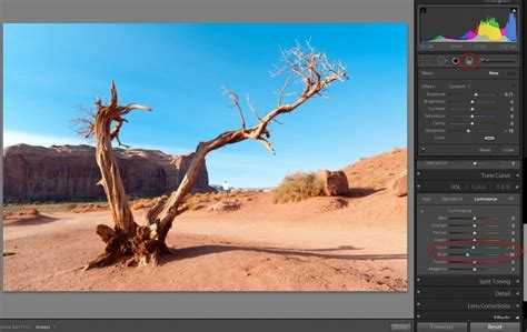 Проверка поддержки формата RAW в текущей версии Lightroom