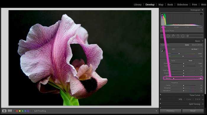 Проверка совместимости видеодрайвера с Lightroom