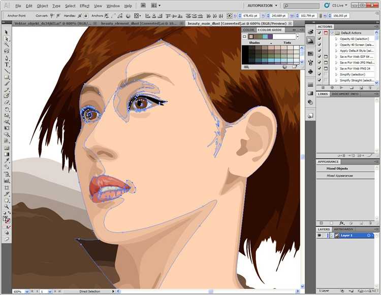 Сколько занимает Adobe Illustrator после установки