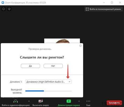Что делать если в zoom нет звука