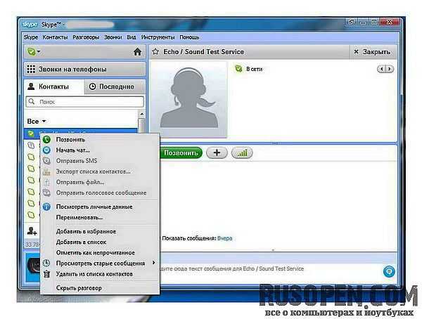 Влияние бренда Skype на русскоязычную культуру общения