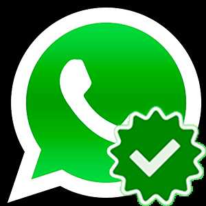 Что означают галочки в whatsapp в сообщениях