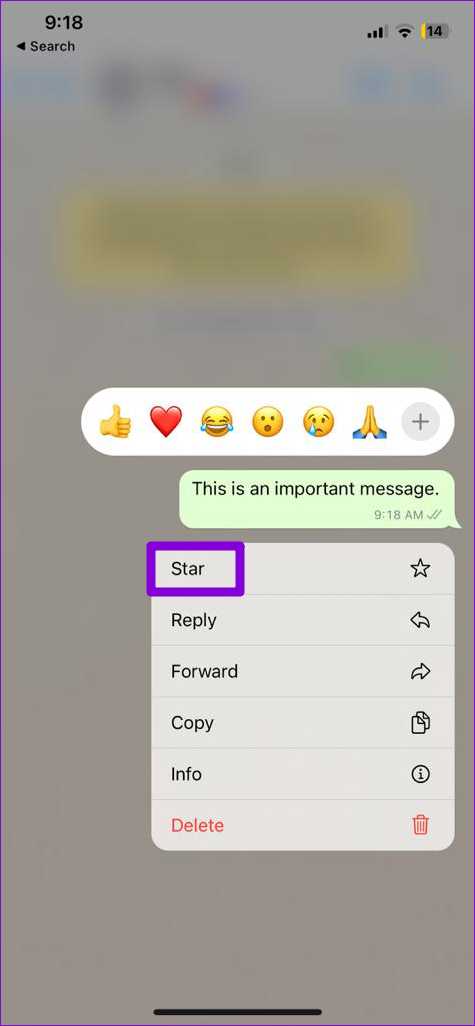 Что в whatsapp означает звездочка
