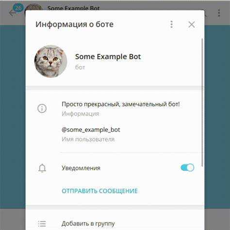 Как использовать ботов для сбора и обработки данных в Telegram