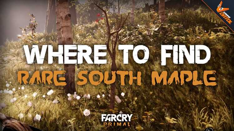 Где можно найти South Maple: точное расположение и адрес