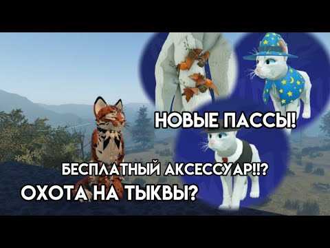 Основные улицы и ориентиры вокруг South Maple