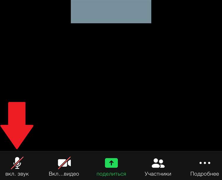 Особенности сохранения чатов при использовании веб-версии Zoom