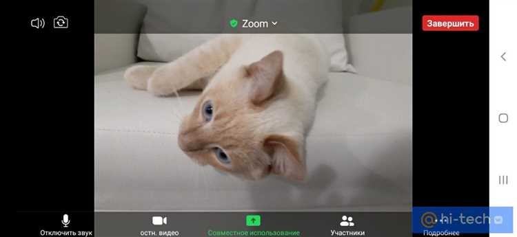 Местоположение записей конференций в Zoom: как найти
