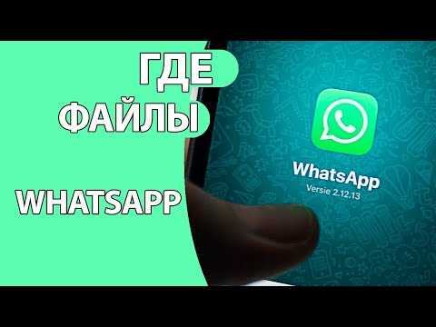 Где хранятся голосовые сообщения whatsapp