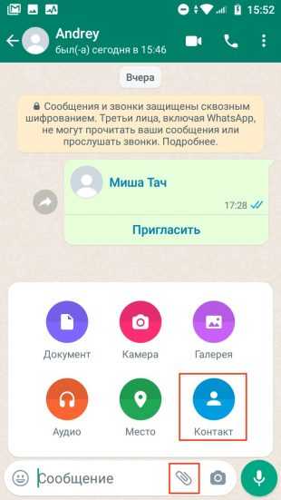 Как добавить контакт в группу whatsapp