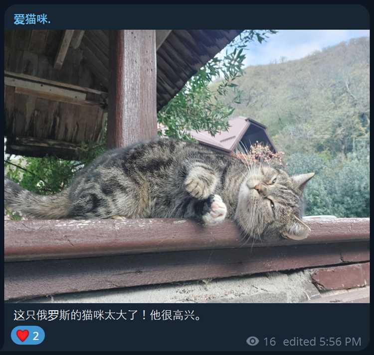 Как использовать китайский в zoom Как использовать китайский в zoom