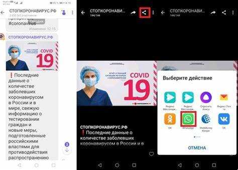 Что делать, если видео из Viber не открывается в WhatsApp
