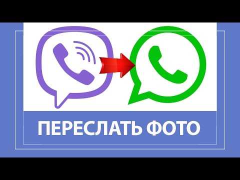 Как из viber переслать в whatsapp видео