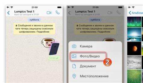 Какие ограничения при пересылке сообщений между WhatsApp и Viber