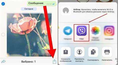 Что делать, если нужно переслать группу сообщений из WhatsApp в Viber