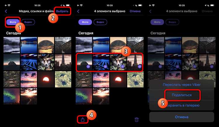 Как отправить медиафайлы из WhatsApp в Viber