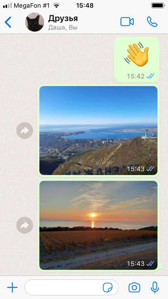 Как сделать фото прямо в WhatsApp для группы