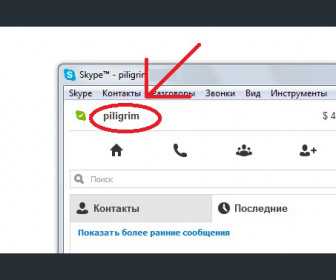 Что считается логином в Skype и где его найти