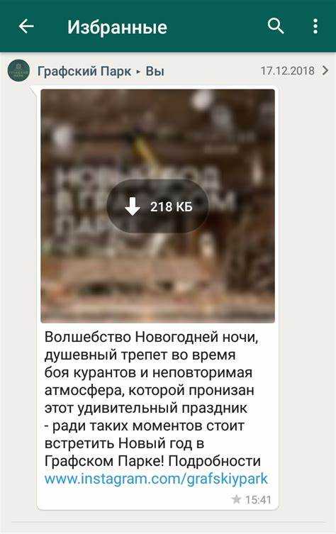 Как найти избранные сообщения в whatsapp