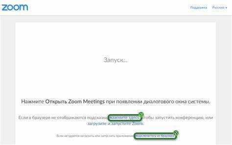 Как найти конференцию в zoom по идентификатору
