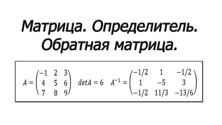 Обработка ошибок при попытке обращения вырожденной матрицы