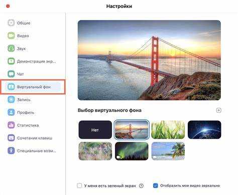 Как проверить поддержку виртуального фона на iPad в Zoom