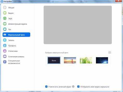 Решение проблем с размытие фона в Zoom на старых устройствах