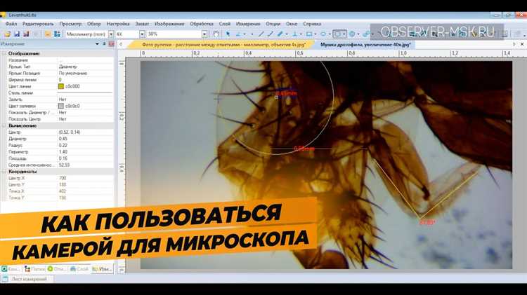 Регулировка фокуса и увеличение для детализированных снимков