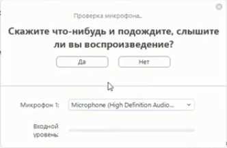 Решение распространённых проблем со звуком в Zoom