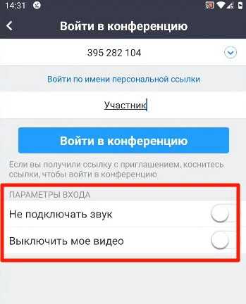 Как настроить звук на zoom