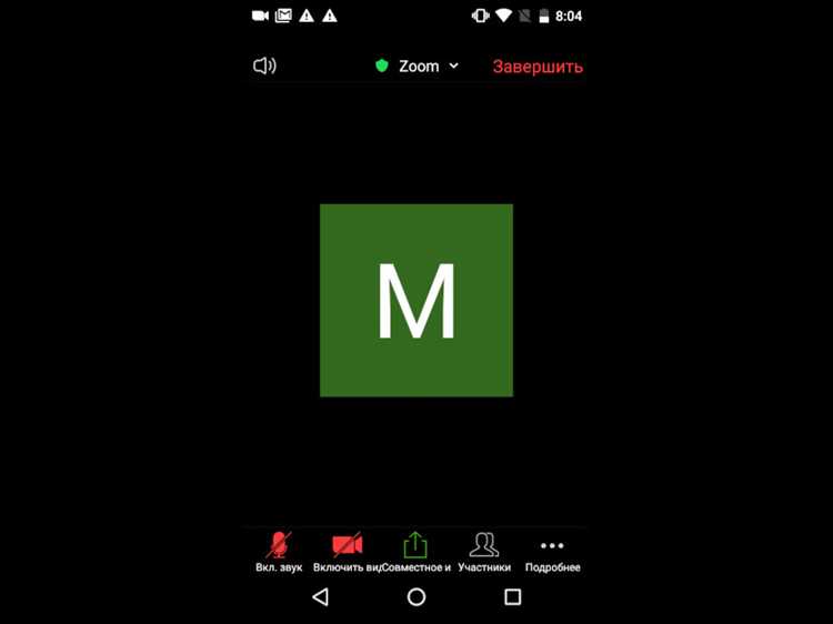 Решение проблем с микрофоном в Zoom на компьютере и телефоне