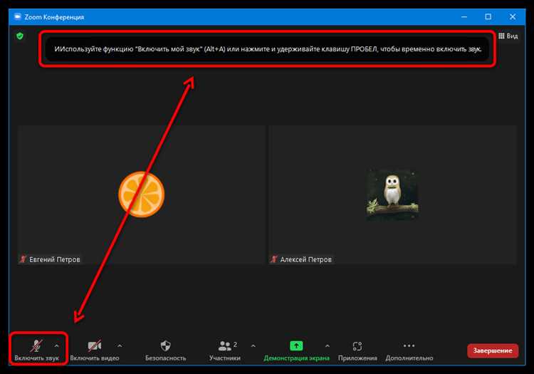 Как отключить звук микрофона в zoom