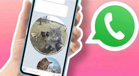 Как отправить полное видео в whatsapp через айфон
