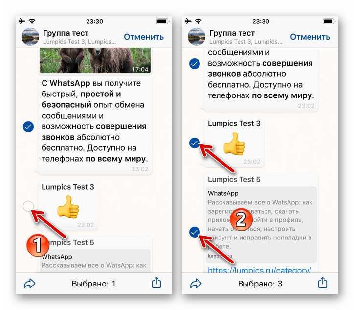 Как переслать переписку в whatsapp другому человеку