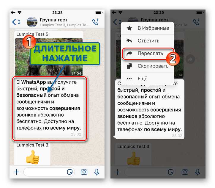 Какие ограничения при пересылке чатов в WhatsApp
