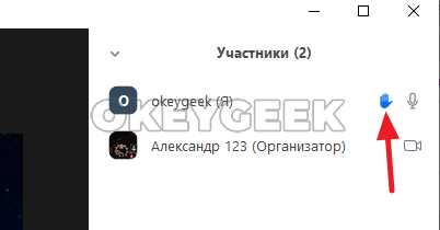 Горячие клавиши для поднятия руки на Windows и Mac