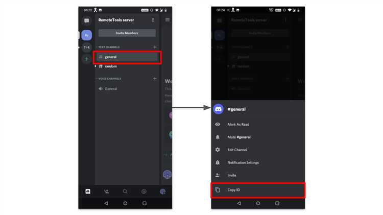 Как включить режим разработчика в Discord на телефоне