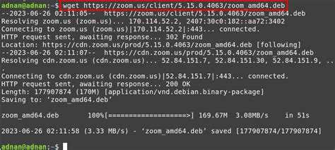 Исправление проблем с отображением языка в Zoom на Linux