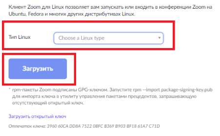 Как поменять язык в zoom на linux