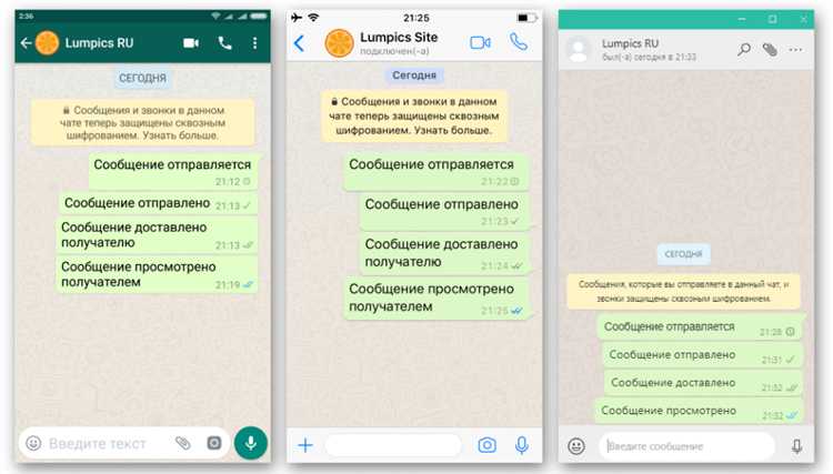 Что означают галочки под сообщением в WhatsApp