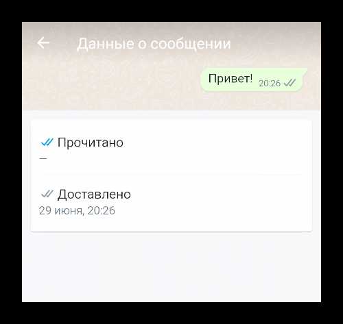 Как понять что сообщение прочитано в whatsapp