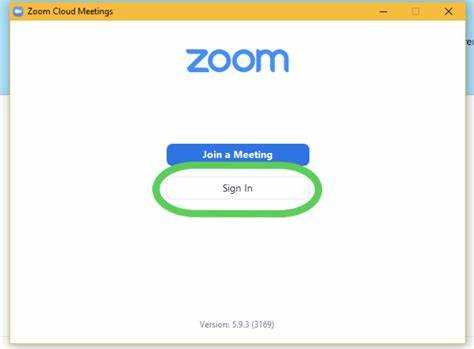 Где в Zoom найти настройку определения ведущей руки