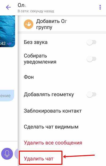 Как посмотреть скрытые чаты в viber на айфоне