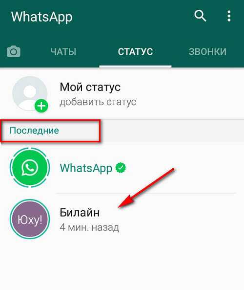 Как посмотреть старые статусы в whatsapp