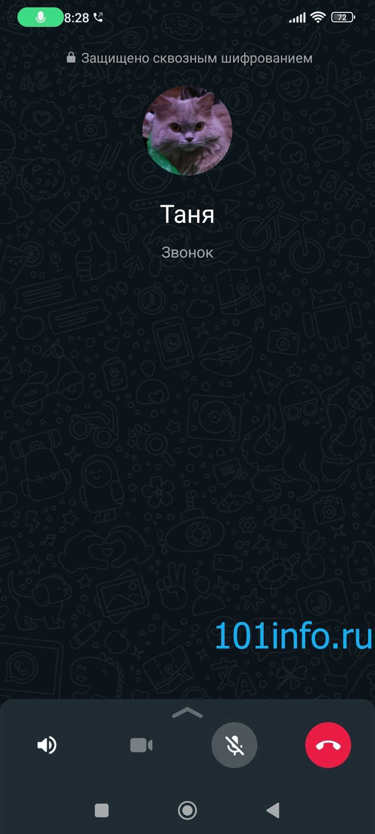 Как получить доступ к записи звонка WhatsApp на iPhone