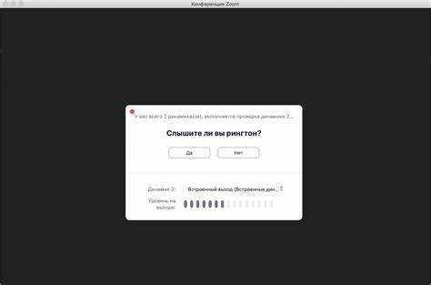 Различия между тестовой ссылкой и обычным звонком Zoom