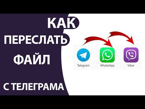 Как с viber информацию перекинуть на whatsapp