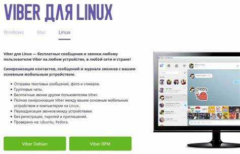 Как скачать файл с viber на компьютер
