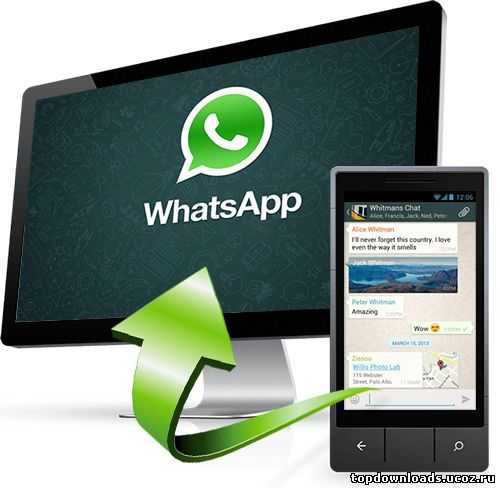 Экспорт чатов с медиа через функцию резервного копирования WhatsApp