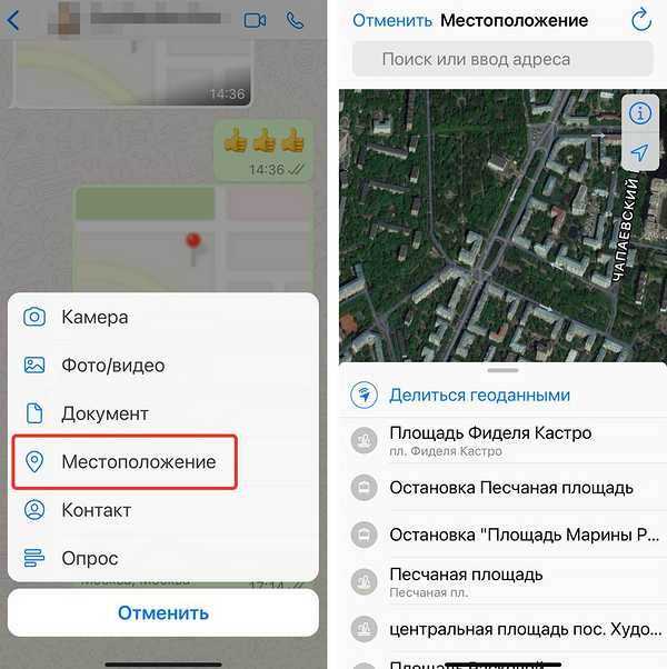 Как делиться геолокацией с точностью до нескольких метров в WhatsApp
